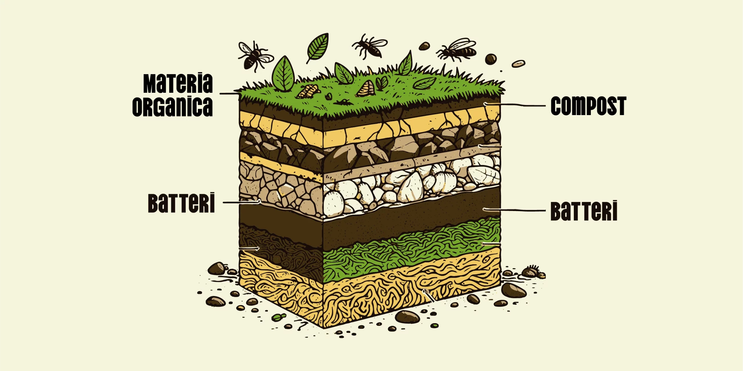 Illustrazione di ammendanti organici del suolo che migliorano l’assorbimento di nutrienti tramite radici e microbi