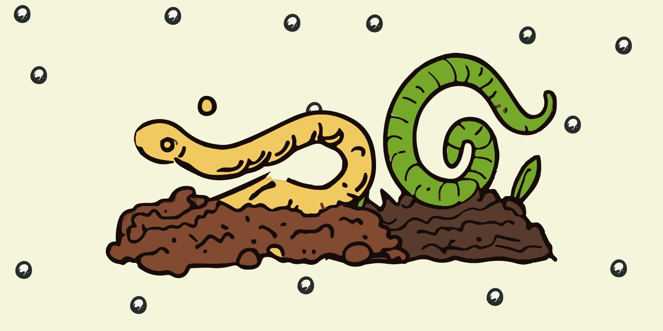 Illustrazione stilizzata di microrganismi suolo organico: batteri, funghi e radici in simbiosi per migliorare la fertilità del terreno.