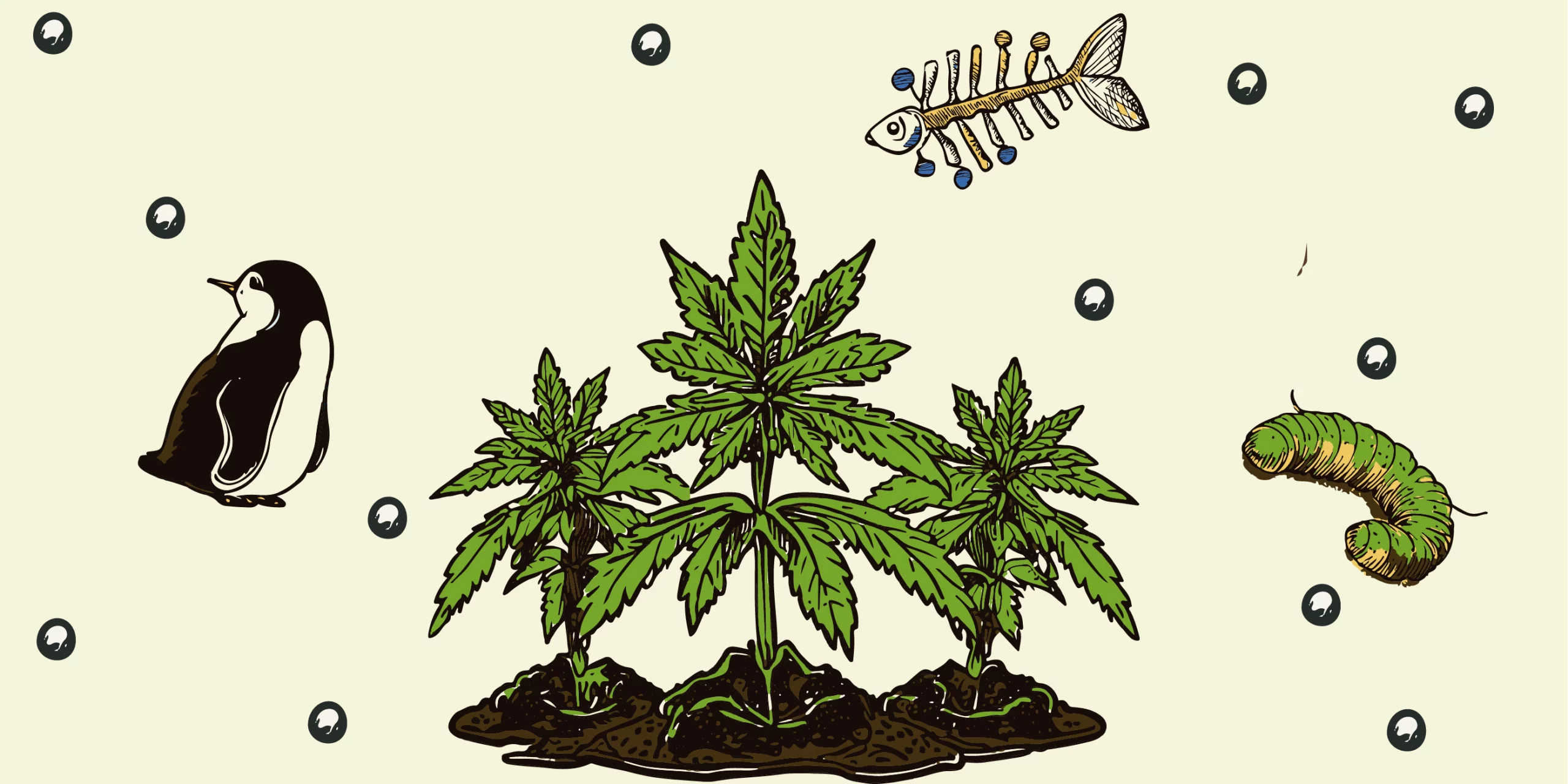 IlSupersoilcom - Illustrazione organica per Fertilizzanti organici di origine animale per cannabis